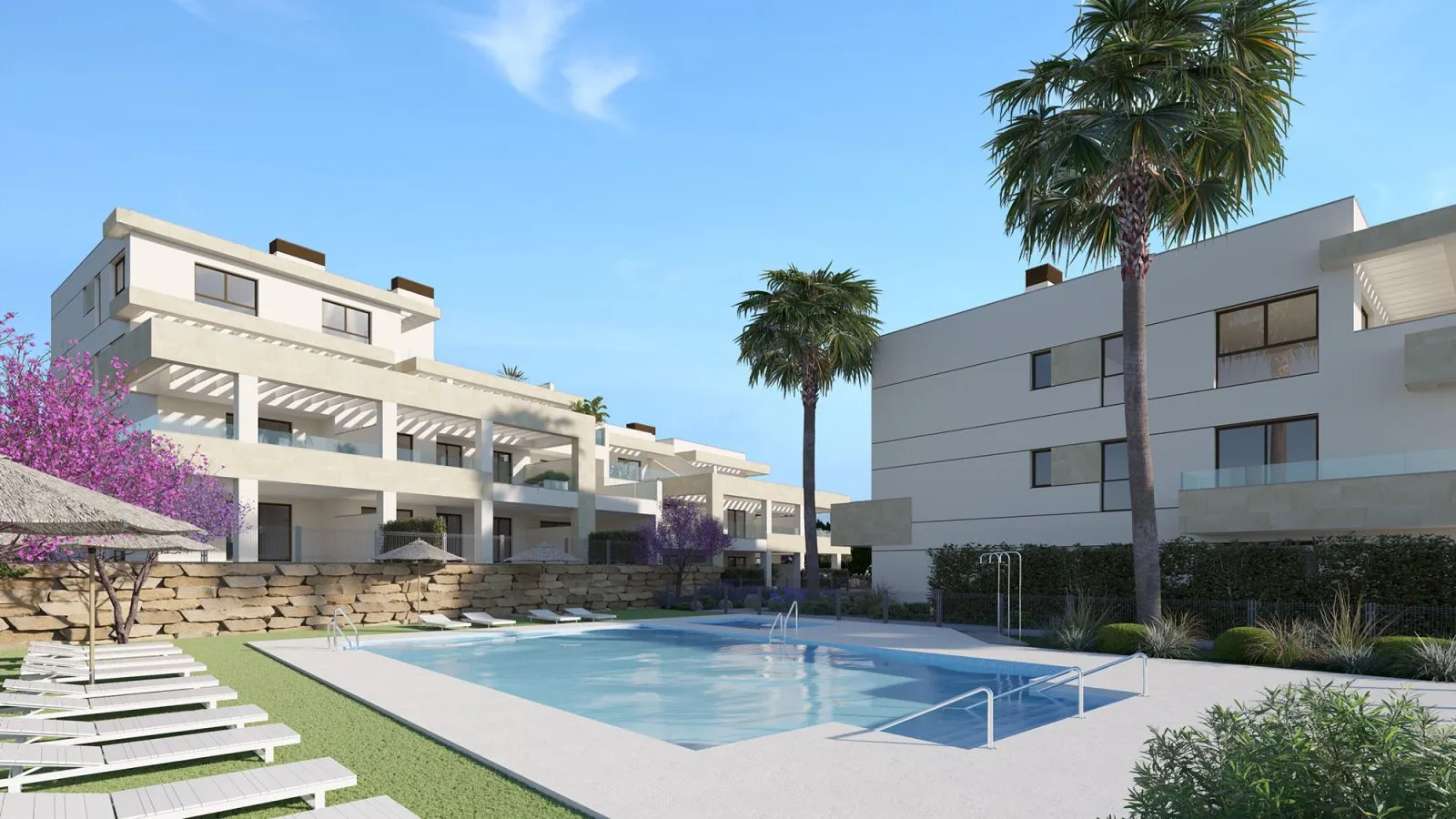 New Development