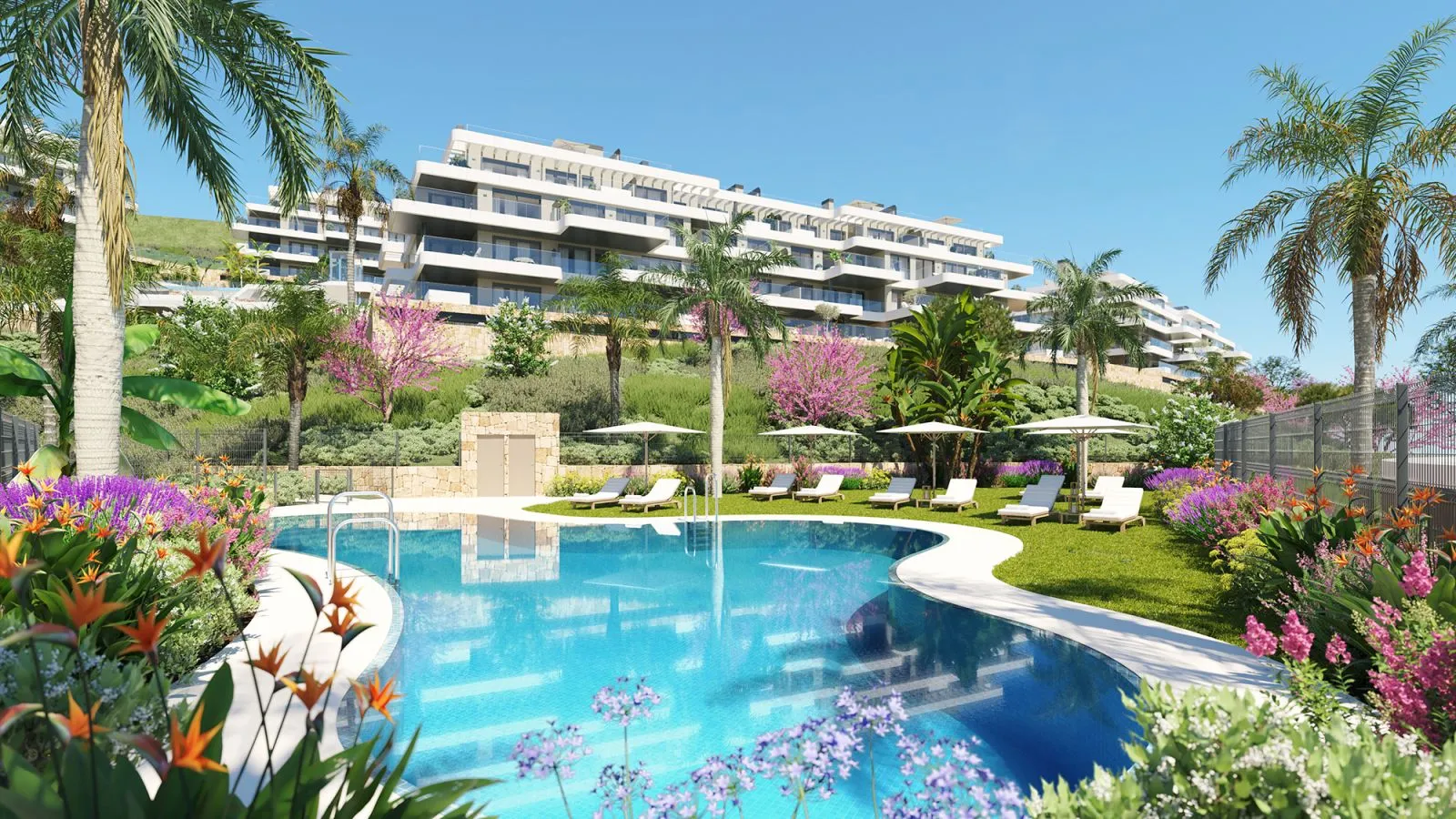 New Development